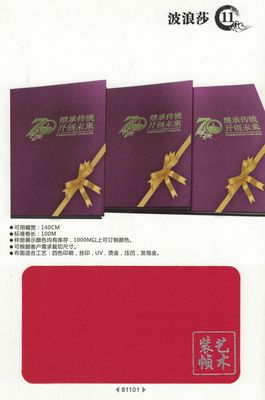 波浪莎 81101